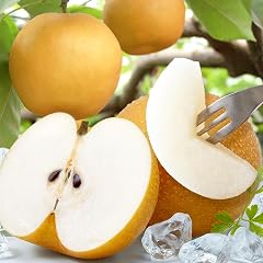 【2026年予約受付】佐賀県産 美味しい梨 約5kg | 果物 フルーツ 果実 贈答用 お取り寄せ ギフト 国産 鹿島市 ふるさと 人気 おくりもの プレゼント B-875 豊水 新高 あきづき 秋月
