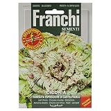 野菜の種 リーフチコリー VARIEGATA ESPOSIZIONE DI CASTELFRANCO 40/20