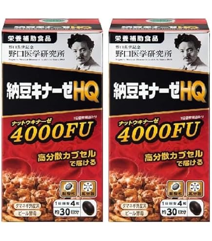 野口医学研究所 納豆キナーゼ プレミアム 4000FU 120粒×3個