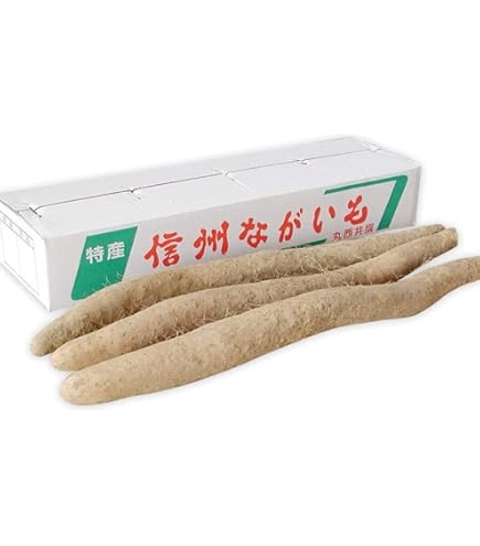 Amazon.co.jp: クーガ芋 10キロ 琉球自然薯 むかしながらの山芋 沖縄