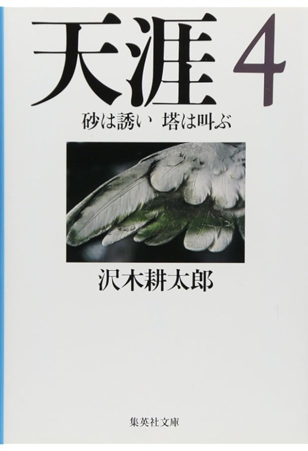 Amazon.co.jp: 天涯 1 鳥は舞い 光は流れ (集英社文庫) : 沢木 耕太郎: 本