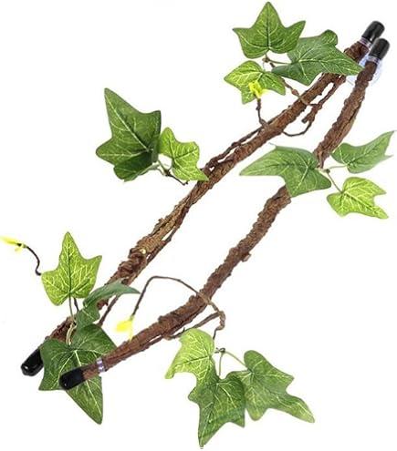 Ｇ38 流木　爬虫類　両生類シェルター　インテリア　観葉植物　ハンドメイド　生花 Amazon | Hikigaeru 爬虫類シェルター テラリウム 大 (L) 隠れ家