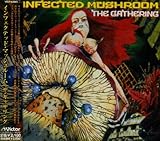 �U�E�M���U�����O