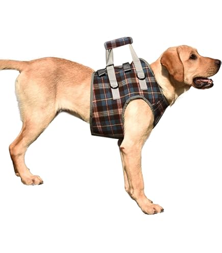 Assistant band 介護用ハーネス Sサイズ チェック柄　胴輪 Assistant band 介護用ハーネス Sサイズ チェック柄 胴輪 犬の