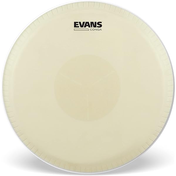 Amazon.co.jp: LP LP290B Double Conga Stand ダブル コンガスタンド