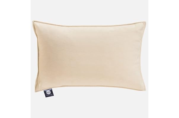 cushion covers from amazon
