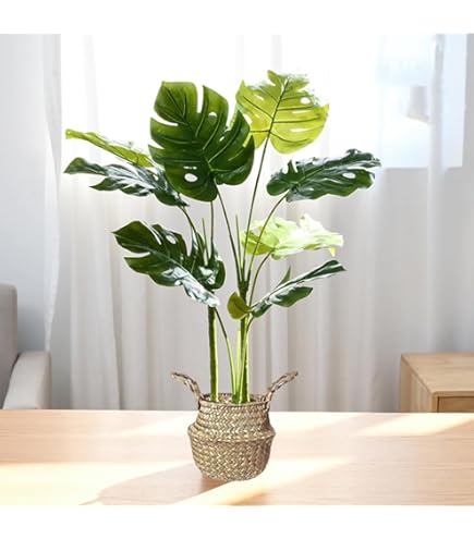 Amazon｜熱帯観葉樹 人工観葉植物 モンステラ 光触媒 フェイクグリーン