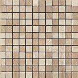 Samson 1043734 Travertini Polished 1 X 1モザイク床と壁タイル、12 x 12インチ、Noce /クリーム、1ピース