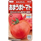 サカタのタネ 実咲野菜0004 あまうまトマト ルネッサンス 00920004