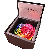 61HHusQl0IL._AC_UL210_SR210,