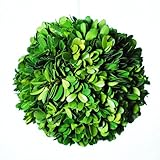 Galt International Naturally Preserved Real Boxwood装飾Hangingキスボール、6インチ