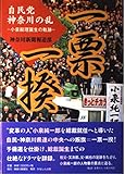 一票一揆 自民党神奈川の乱~小泉総理誕生の軌跡~