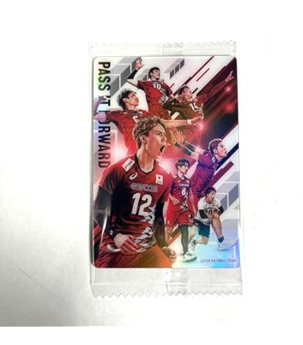 バレーボール男子日本代表 2025 トレーディングカード 新品未開封2ボックス 未開封ボックス 2025 バレーボール男子日本代表 トレーディング