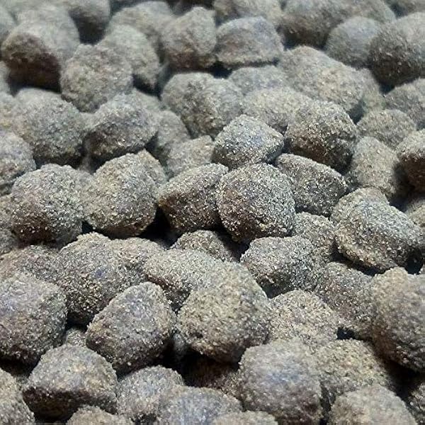 Amazon うたかた本舗 錦鯉 エイ プレコ ザリガニの餌 おとひめep5 １kg うたかた本舗 餌 通販