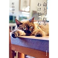 映画『風よ あらしよ 劇場版』パンフレット　チラシ　村山由佳　栗原康 819IPow8pdL.jpg