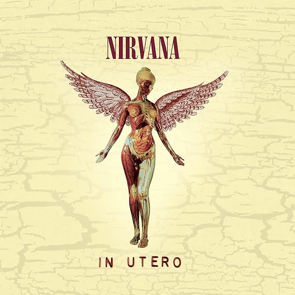 NIRVANA/NEVERMIND20周年盤SuperDeluxeEdition Nevermind (20th Anniversary Deluxe Edition): Amazon.co.uk: CDs & Vinyl