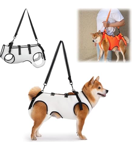 Amazon | 歩行補助ハーネスLaLaWalk 小型犬ダックス兼用 グレー