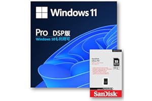 Windows 11 DSP 日本語版 (Pro, 32GB USB)