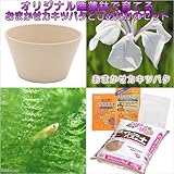 (ビオトープ/水辺植物)チャーム14号 プロが考えた睡蓮鉢で育てる(ベージュ) カキツバタとひめだかのセット(来期開花予定株) 本州・四国限定[生体]