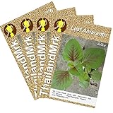 ホナガイヌビユ Thai Leaf Amaranth 4 Bulk ThailandMrk