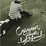 Silver -Lost & Found-