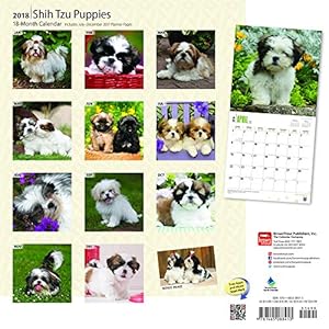 Shih Tzu Puppies 2018 Calendar