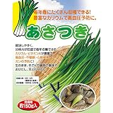 あさつき（浅葱）150g入り 3袋セット[野菜の球根] ノーブランド品