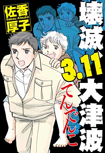 『壊滅、3.11大津波 てんでんこ』