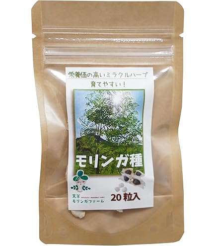 Amazon.co.jp: フウセンカズラの種200粒 ふうせんかずら 緑のカーテン