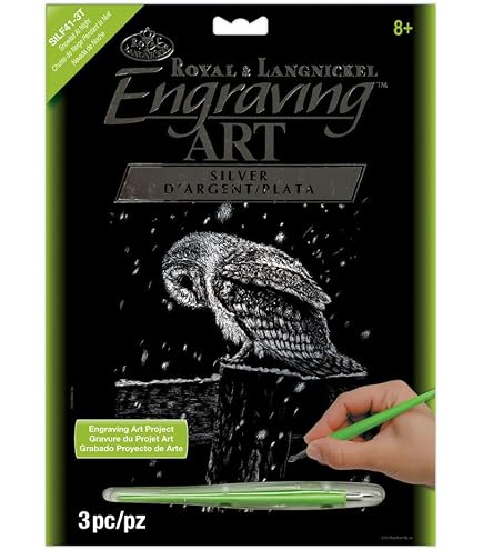Kit ROYAL LANGNICKEL Peinture au numéro Junior Petit Format – Aigle royal à la pêche