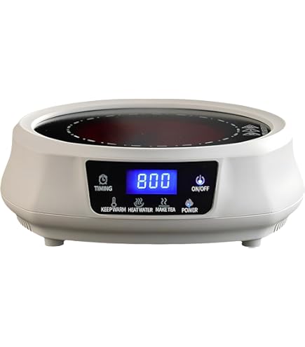 Amazon.co.jp: タイジ 酒燗器 TS-2 : ホーム＆キッチン