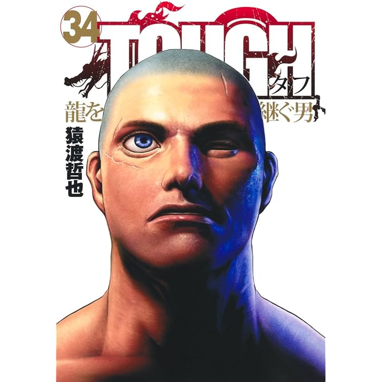 TOUGH 龍を継ぐ男1-35+番外編 柔の章 TOUGH 龍を継ぐ男1-35+番外編 柔の章