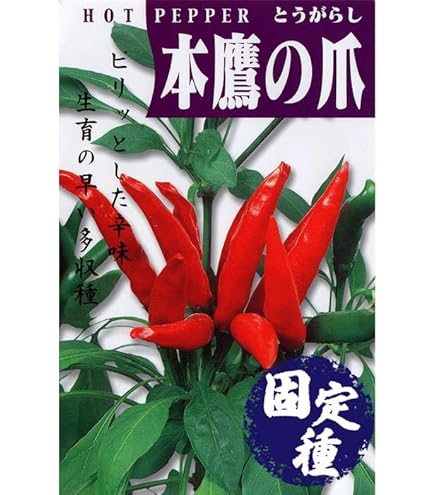 Amazon.co.jp: とうがらし 種子 ビキーニョ 20粒 トウガラシ