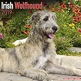 Irish Wolfhound Calendar 2019