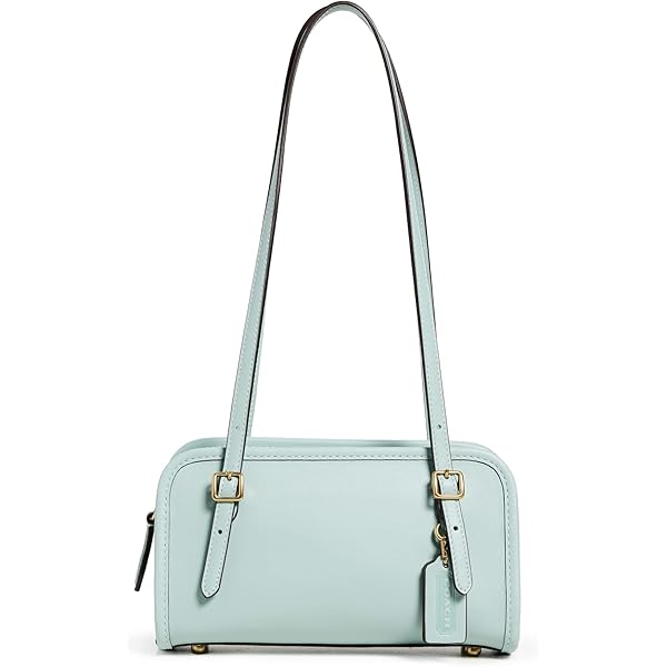 Coach Women's Swing Zip, Honey Brown, One Size : Amazon.sg: Fashion
