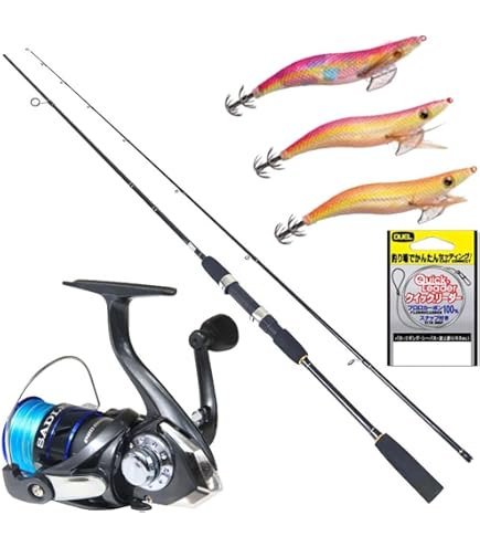 Amazon | エギング入門 オールインワン釣りセット PEライン