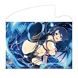 シノビマスター 閃乱カグラ NEW LINK B2タペストリー 夜桜(盛・伝説爆乳祭)