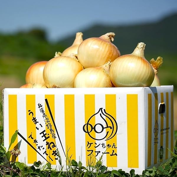 Amazon.co.jp: 【淡路の甘ーい玉ねぎ】2kg 4~5個程 淡路島産 2L 大きな