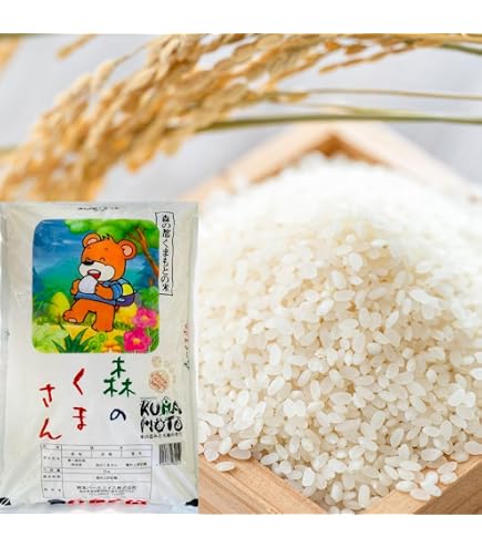 Amazon.co.jp: 精米 熊本県産 森のくまさん 5kg 米 白米 単一原料 6