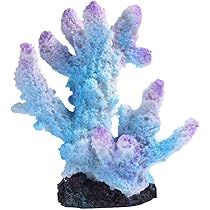 馬　珊瑚礁　オブジェ Amazon.co.jp: CIOP 【 水槽 オブジェ 人工サンゴ (サンゴ礁 01