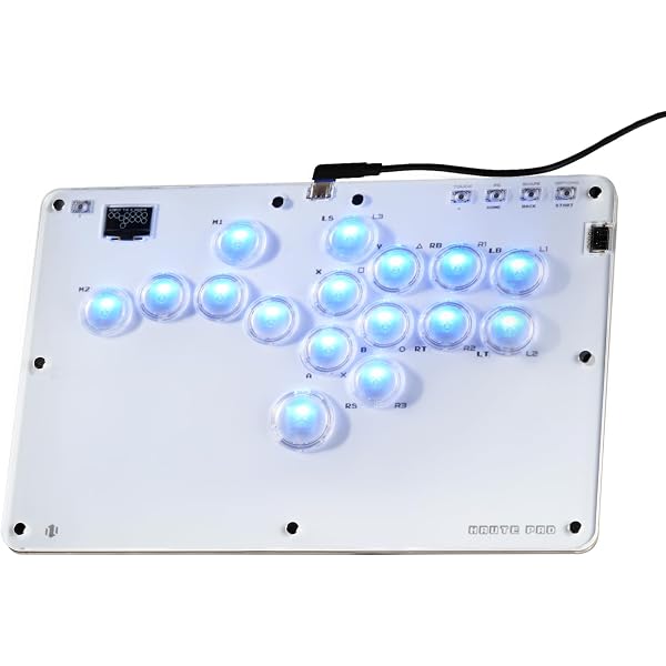 Amazon.co.jp: punk workshop パンクワークショップ アケコン
