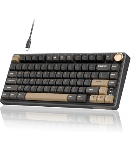 Amazon | RK ROYAL KLUDGE R98 Pro 有線メカニカルキーボード 96