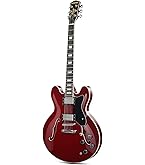 Amazon.co.jp: PhotoGenic エレキギター LPタイプ LP-260/WR ワイン
