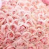キラキララメ付きピンクローズ100本の花束 お誕生日、お祝い、母の日、クリスマスにお届け。花言葉「恋の誓い」