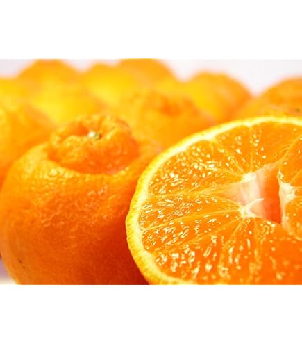 Amazon.co.jp: タイ産 フルーツ ポメロ 6kg (6-8玉) タイ輸入 タイの