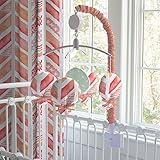 Carousel Designs Coral Watercolor Herringbone Musical Mobile by Carousel Designs