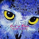 �A�E���E�C���E�u���[