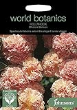 【輸入種子】Johnsons Seeds World Botanics Collection Hollyhock Chaters Salmon ホリホック（タチアオイ）・チャターズ・サーモン ジョンソ
