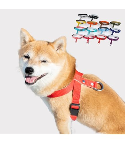 ☆ DISUKI ダイスキ リフアン反射ハーネス S 小型犬用 赤 493 Amazon | DISUKI(ダイスキ) リフアン反射ハーネス S(小型犬用) 青