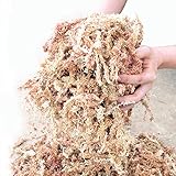 国華園 チリ産水苔 1kg 2袋1組(合計約2kg)